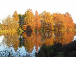 Farbenpracht im Gartenreich Dessau-Wörlitz