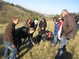 Die Ochsenfurter SPD besichtigt das Goßmannsdorfer Naturschutzgebiet II